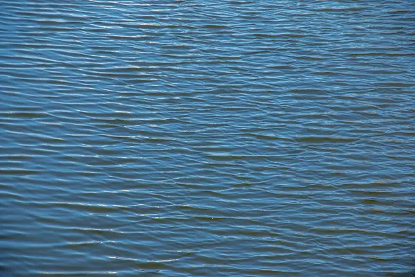 Su, dalga ve doğa çevresel göl, dalgalı nehir, sakin ve yakın çekim.