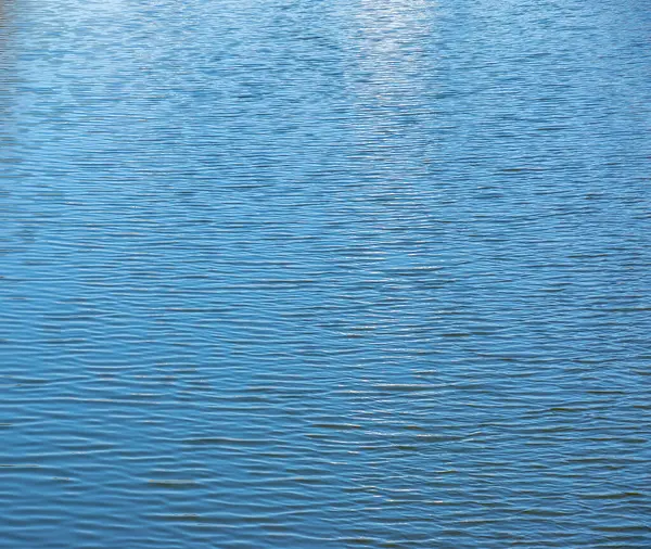 Su, dalga ve doğa ile çevre nehri, dalgalar, sakin ve yakın çekim. Doğal arkaplan.