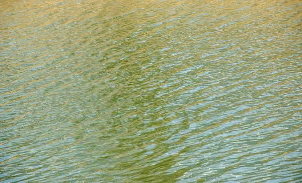 Gün batımında su yüzeyi, küçük dalgalı nehir dalgaları, sakin ve yakın çekim. Doğal arka plan. Soyut arkaplan, doku.