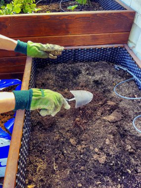 Eldivenli adamların elleri toprağı ilkbaharda ekime hazırlıyor. Bir malayla toprağı dağıtıyorlar..