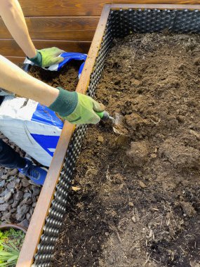 Yeşil eldivenli adamların elleri baharda ekim için toprağı hazırlar. Toprak bir kürekle dağılmış..