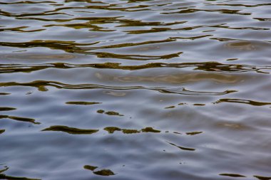 Dinyeper Nehri 'nin dalgalı su yüzeyinin arka planı. Küçük dalgalı su.