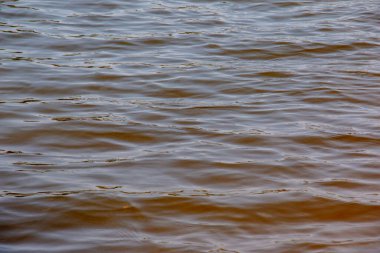 Dinyeper Nehri 'nin dalgalı su yüzeyinin arka planı. Sonbaharda batan güneşin ışınlarında nehir suyu. Nehir suyunun doğal rengi. Küçük dalgalı su.