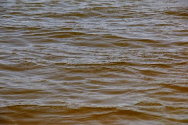 Dinyeper Nehri 'nin dalgalı su yüzeyinin arka planı. Sonbaharda batan güneşin ışınlarında nehir suyu. Nehir suyunun doğal rengi. Küçük dalgalı su.