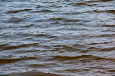 Dinyeper Nehri 'nin dalgalı su yüzeyinin arka planı. Sonbaharda batan güneşin ışınlarında nehir suyu. Nehir suyunun doğal rengi. Küçük dalgalı su.