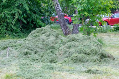 Slovakya, Nitra 'da bir tarlada taze kesilmiş bir ot yığını..