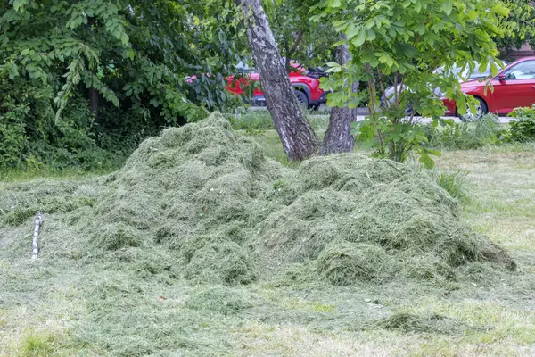 Slovakya, Nitra 'da bir tarlada taze kesilmiş bir ot yığını..