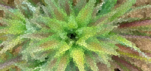 abstract effect green tones background. Photo of pineapple leaves in garden close-up green pineapple concept.