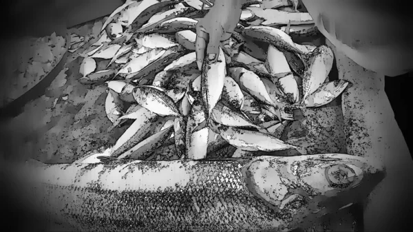 cartoon close-up black white many fish hold hand live deep sea dead sell market store for cook, with specail effect background concept.