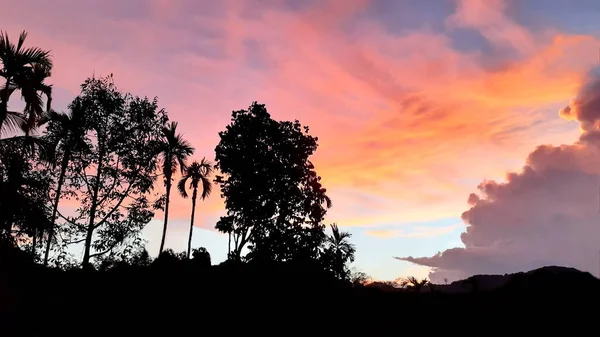 Создать Красоту Ландшафтной Пилы Гор Бетель Пальмы Кокосовых Пальм Голубым — стоковое фото