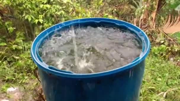 Mavi Fıçı Plastikten Yağmur Suyu Topluyor Bahçeyi Sulamak Için Yağmur — Stok video