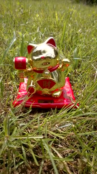 ラッキーキャットソーラーセル 日本の猫エネルギーインゴットは 幸運の魅力を象徴しています クローズアップ垂直赤いフィギュア 知られています Maneki Neko 緑の草の上に幸せな笑顔を移動 — ストック動画