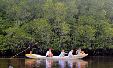 Turistler kanoyla Bali Mangrove ormanını keşfediyorlar..