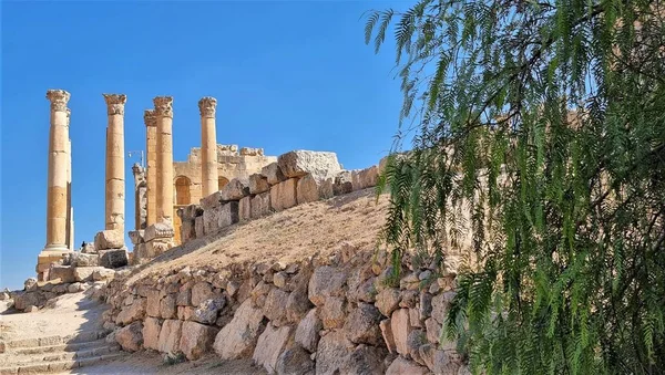 Widok Masywnych Kolumn Świątyni Gerasa Artemis Jerasz Jordania — Zdjęcie stockowe