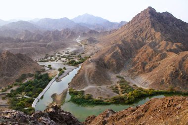 Vadi Shawka manzarası (güçlü vadi / vaha), Birleşik Arap Emirlikleri 'ndeki Ras Al Khaimah' ın Hajar Dağları 'nda yer almaktadır..