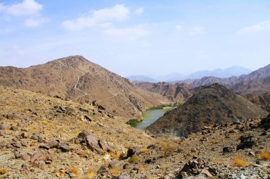 Vadi Shawka manzarası (güçlü vadi / vaha), Birleşik Arap Emirlikleri 'ndeki Ras Al Khaimah' ın Hajar Dağları 'nda yer almaktadır..