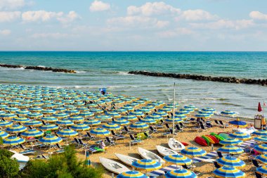 Sabah kumsaldaki sarı yaz şemsiyeleri Adriyatik kıyıları, Abruzzo, İtalya. Geçmişi. Seyahat ve tatil konsepti. Görünür yüz yok.