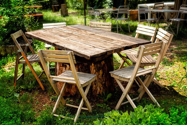 緑の庭のカフェでピクニックツリーの切り株テーブルと椅子を背景に木 — ストック写真
