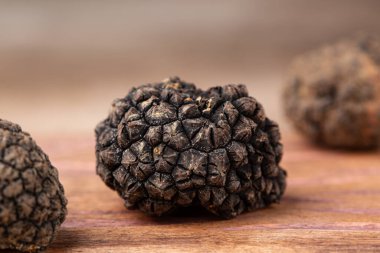 Siyah İtalyan mantarı, Tuber Aestivum. Tahtaya yakın dur..