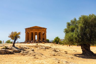 2023-08-11, Agrigento, İtalya. Concordia Tapınağı, Agrigento 'daki Tapınaklar Vadisi, arkeolojik miras. Sicilya 'da Yunan Dorik mimarisi, turizm yeri. 