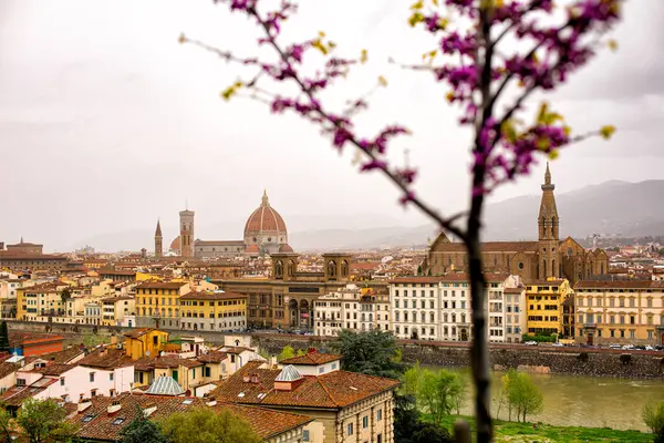 Florence Firenze Italy Cityscape Cloudy Early Spring Day 2024 — Stock Photo, Image