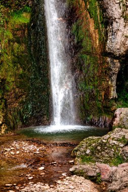 Doğal bir parkta İtalyan Şelalesi Cascata Verde. Parco delle Cascate, İtalya, Molina köyündeki doğal park, Garda Gölü, İtalya. Dikey resim.