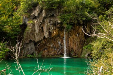 National Park Plitvice Lakes. Famouse national park with amazing  color of water in the lakes, waterfalls, mountains and green forest. Karlovac County in Croatia, august 2024.  clipart