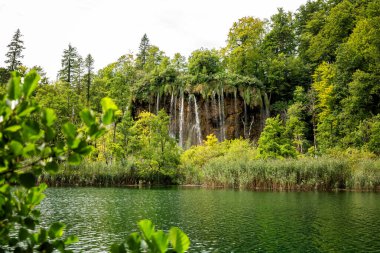Ulusal Park Plitvice Gölleri 'nde veliki prstavac şelalesi. Göllerde, şelalelerde, dağlarda ve yeşil ormanlarda inanılmaz renkte su bulunan ünlü ulusal park. Hırvatistan 'ın Karlovac ilçesi, Ağustos 2024. Blured abstruct figürleri, görünür yüz yok.