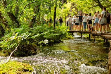 Tourists in National Park Plitvice Lakes. Famouse national park with amazing blue color water in the lakes, mountaons and green forest. Karlovac County in Croatia, august 2024. Blured abstruct figures, no visible faces.  clipart