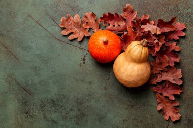 Turuncu ve tereyağlı balkabağı, kabak ve kırmızı meşe yapraklı güzel bir sonbahar arkaplanı. Uzayı kopyala Şenlikli, Şükran Günü konsepti.