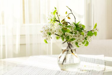 Beyaz yemek masasındaki vazoda beyaz çiçekli kiraz dalı. Arka planda sabah ışığı olan pencere.. 