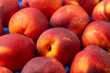 Şeftali ya da şeftali arkaplanı. Kapat..