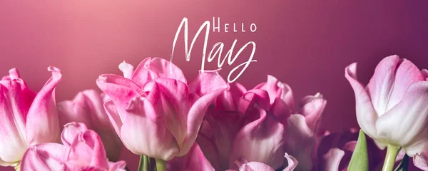Hallo Mai Text Schöne Bündel Von Rosa Papageien Stil Tulpen — Stockfoto