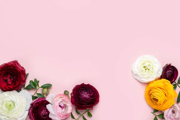Zarte Hahnenfußblüten Als Flatlay Auf Rosa Hintergrund Mit Kopierraum Ein Stockbild