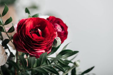 Yumuşak ranunculus çiçeğinin başını kapat. Çiçek aranjmanında bir demet İranlı düğün çiçeği