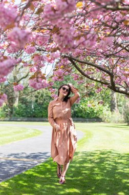 30 'lu yaşlarının ortalarında parkta çiçek açan kiraz ağacı ya da Sakura' lı bir kadın. İngiltere 'de ilkbahar. Hayatın ve güneşli havanın tadını çıkarıyorum.