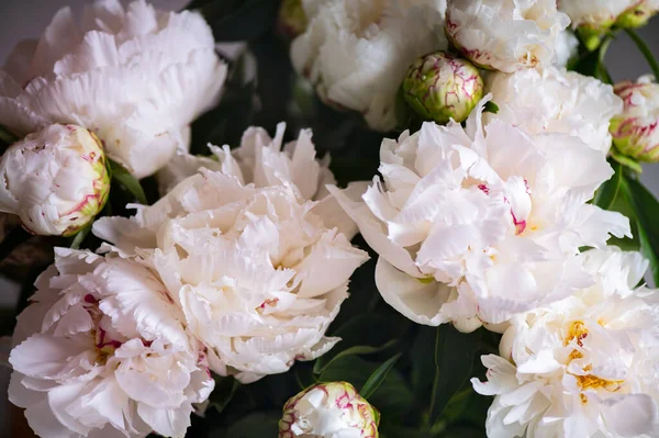 白い色の牡丹の花束の新鮮な束のマクロショット カードのコンセプト 穏やかな抽象的な花の背景画像 閉じる 浅いDf — ストック写真