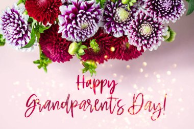 Büyükanne ve büyükbabalar günün kutlu olsun mesajı at. Pembe arka planda güzel yıldız çiçekleri. Bir buket renkli yıldız çiçeği..