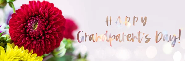 Text Happy Grandparents Day Schöne Dahlien Auf Rosa Hintergrund Strauß — Stockfoto