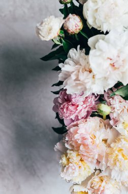 Bir demet taze şakayık demeti beyaz ve pembe renkli Macro shot. Kart kavramı, nazik soyut çiçek arkaplan resmi, yakın plan, sığ DoF