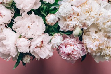 Bir demet taze şakayık demeti beyaz ve pembe renkli Macro shot. Kart kavramı, nazik soyut çiçek arkaplan resmi, yakın plan, sığ DoF