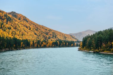 Sonbaharda Altai bölgesinde manzara, Rusya 'nın güneyinde Sibirya' da Rusya Cumhuriyeti, dolambaçlı mavi Katun nehri ve dağlarıyla,.
