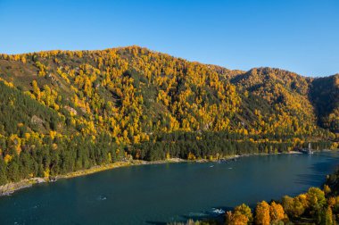 Sonbaharda Altai bölgesinde manzara, Rusya 'nın güneyinde Sibirya' da Rusya Cumhuriyeti, dolambaçlı mavi Katun nehri ve dağlarıyla,.