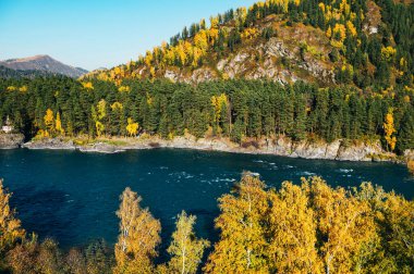 Sonbaharda Altai bölgesinde manzara, Rusya 'nın güneyinde Sibirya' da Rusya Cumhuriyeti, dolambaçlı mavi Katun nehri ve dağlarıyla,.