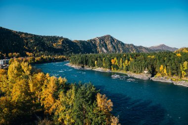 Sonbaharda Altai bölgesinde manzara, Rusya 'nın güneyinde Sibirya' da Rusya Cumhuriyeti, dolambaçlı mavi Katun nehri ve dağlarıyla,.