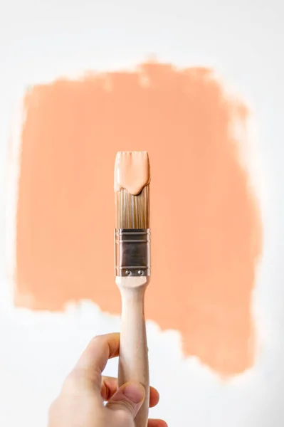 Proces Wyboru Farby Ścian Podczas Remontu Domu Brzoskwiniowy Kolor Fuzz Obrazek Stockowy