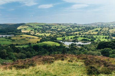 Teggs Burnu, Ridgegate Reservoir, Trentabank Reservoir Circular, Peak District National Park, İngiltere