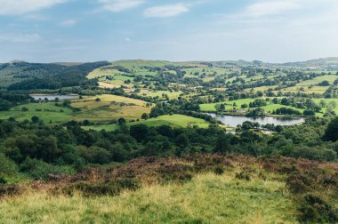 Teggs Burnu, Ridgegate Reservoir, Trentabank Reservoir Circular, Peak District National Park, İngiltere