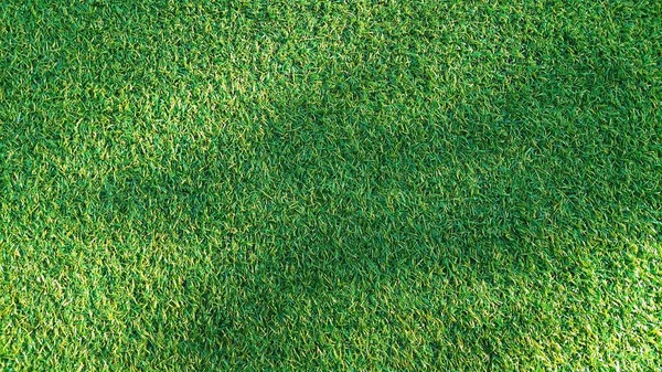 Тінь Фоні Зеленої Трави — стокове фото