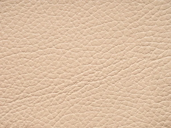Beige leather sample. Background with copy space, top view. Texture of genuine leather in light tone closeup. Backdrop textured effect for design, upholstered furniture, clothing. Faux eco leather.